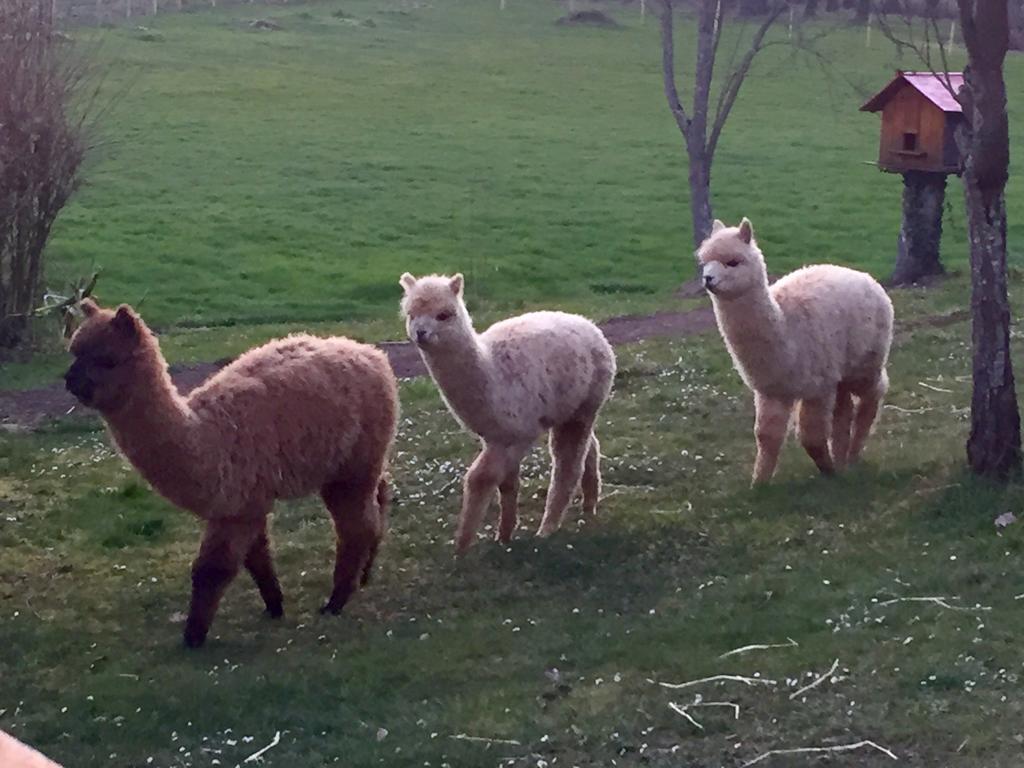 Logis La Chaumiere 3*